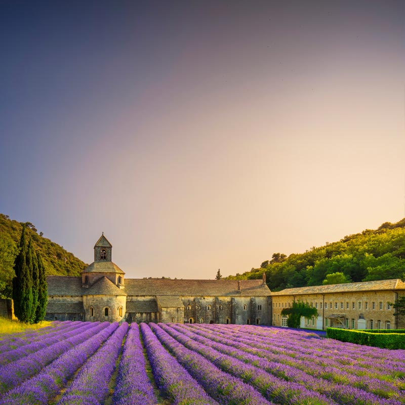 France07