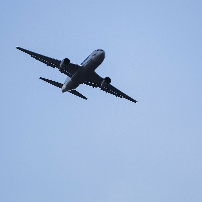 flight